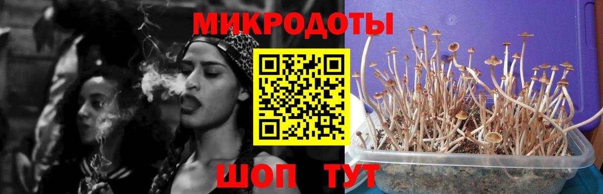 Псилоцибиновые грибы Psilocybe  как найти закладки  Зеленокумск  Вход с VPN 